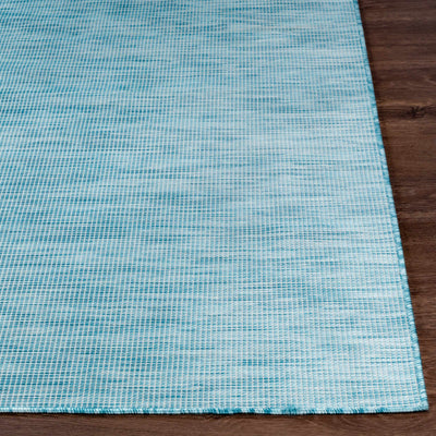 Ponemah Flatweave Area Carpet - Clearance