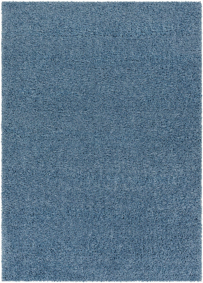 Potot Area Rug - Clearance