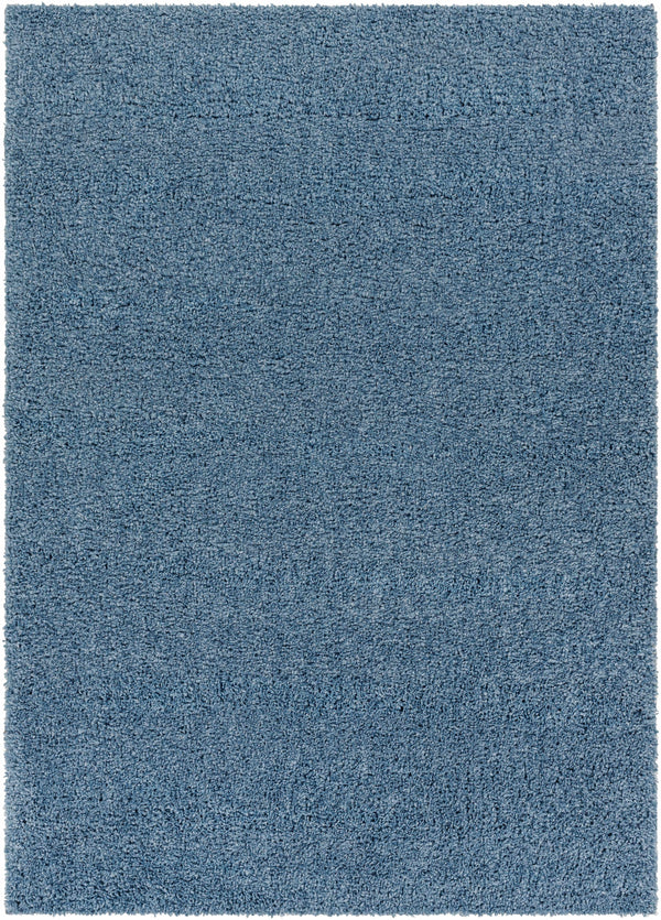 Potot Area Rug - Clearance