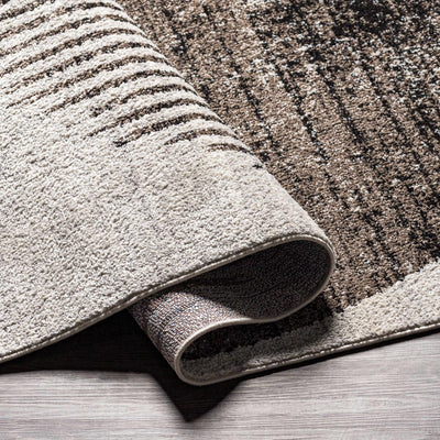 Pulumer Area Rug - Clearance