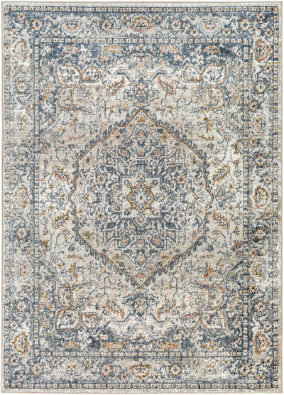 Sturt Gray & Brown Traditional Area Rug - Clearance