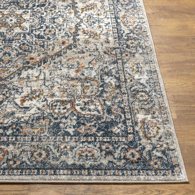 Sturt Gray & Brown Traditional Area Rug - Clearance