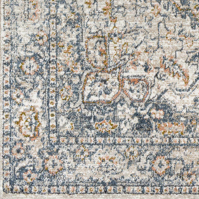 Sturt Gray & Brown Traditional Area Rug - Clearance