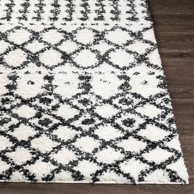 Walkern White/Black 5x7 Plush Rug - Clearance