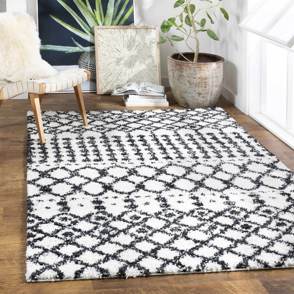 Walkern White/Black 5x7 Plush Rug - Clearance