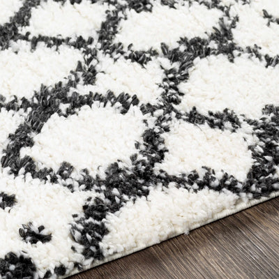 Walkern White/Black 5x7 Plush Rug - Clearance