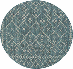 Rapelje aqua Area Rug