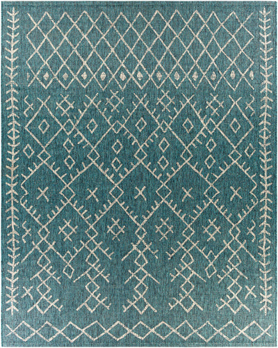 Rapelje aqua Area Rug