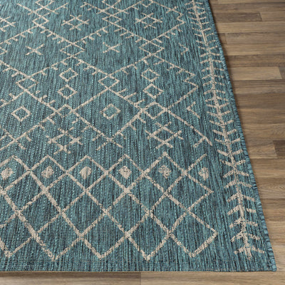 Rapelje aqua Area Rug