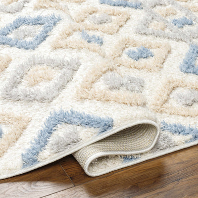 Eivin Pink & Blue Area Rug - Clearance