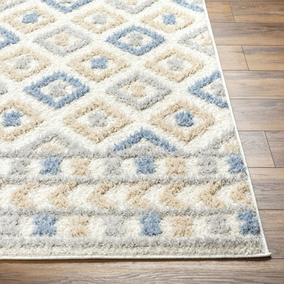 Eivin Pink & Blue Area Rug - Clearance