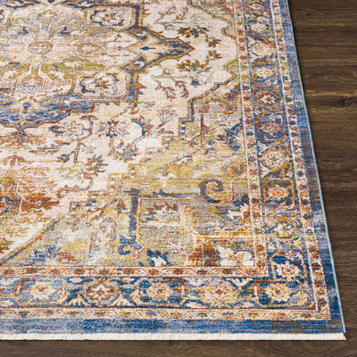 Revelstoke Traditional Medallion Area Rug - Clearance