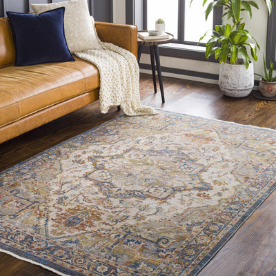 Revelstoke Traditional Medallion Area Rug - Clearance