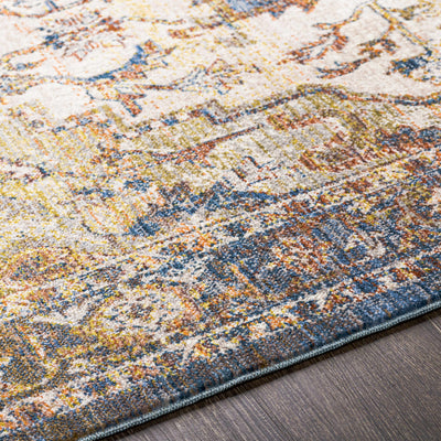 Revelstoke Traditional Medallion Area Rug - Clearance