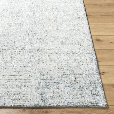 Rhory Light Blue Area Rug