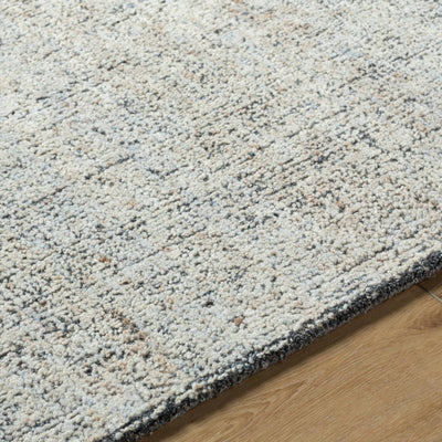 Rhory Blue & Cream Area Rug