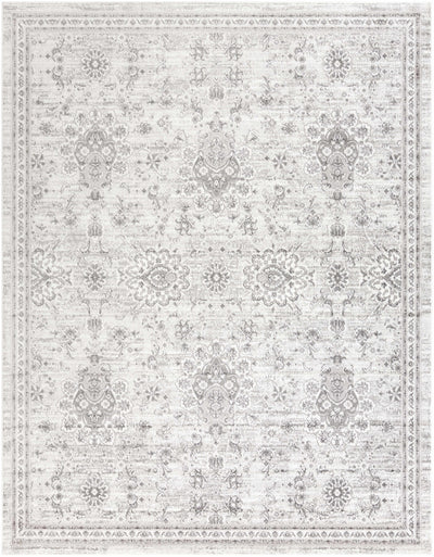 Orlando Area Rug