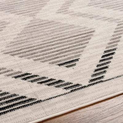 Rory Stripe Textured Area Rug - Limited Edition