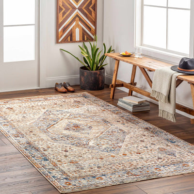 Roy Area Rug - Promo