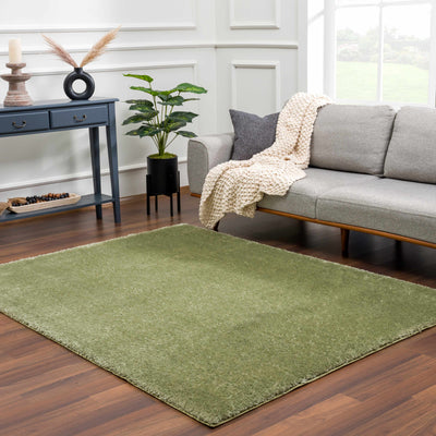 Heavenly Solid Green Plush Rug - Clearance