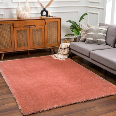 Heavenly Solid Pink Plush Rug - Clearance