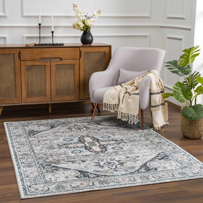 Liverpool Gray & Blue Area Rug - Clearance