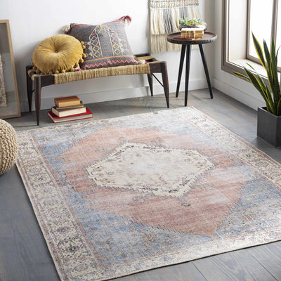 Sacriston Washable Area Rug - Clearance