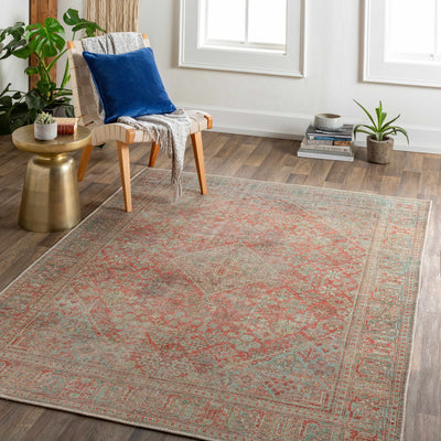 Saguday Washable Area Rug - Clearance