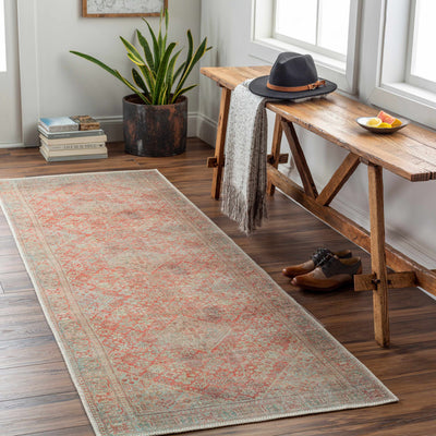 Saguday Washable Area Rug - Clearance