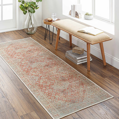 Saguday Washable Area Rug - Clearance