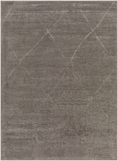 Aldis Charcoal Washable Area Rug