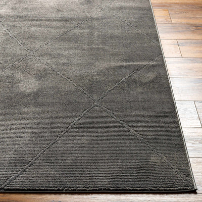 Aldis Charcoal Washable Area Rug