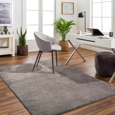 Aldis Charcoal Washable Area Rug