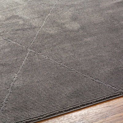 Aldis Charcoal Washable Area Rug