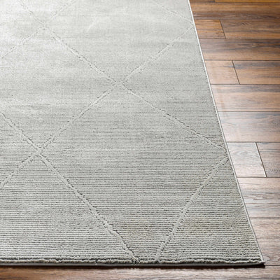 Aldis Grey Washable Area Rug