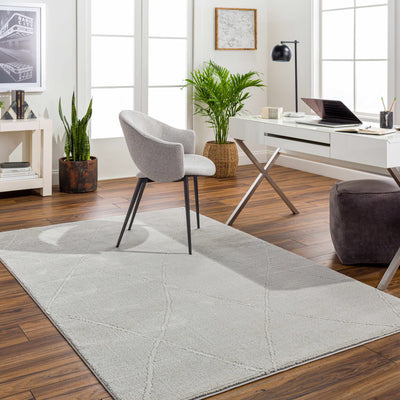 Aldis Grey Washable Area Rug