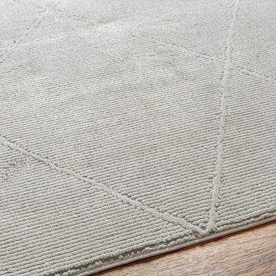 Aldis Grey Washable Area Rug