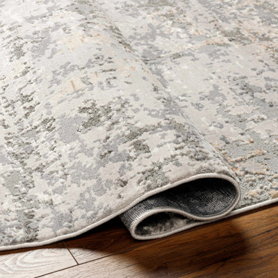 Arva Area Rug