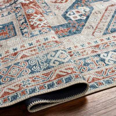 Raja Washable Area Rug - Clearance