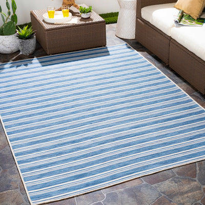 Macklin Denim Striped Outdoor Rug - Clearance