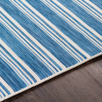 Macklin Denim Striped Outdoor Rug - Clearance