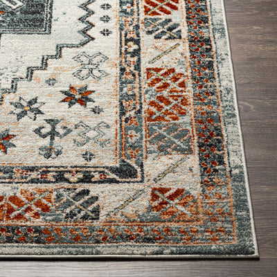 Saysain Area Rug - Clearance