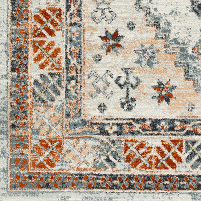 Saysain Area Rug - Clearance