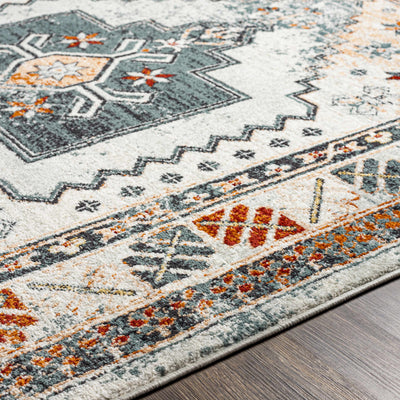 Saysain Area Rug - Clearance