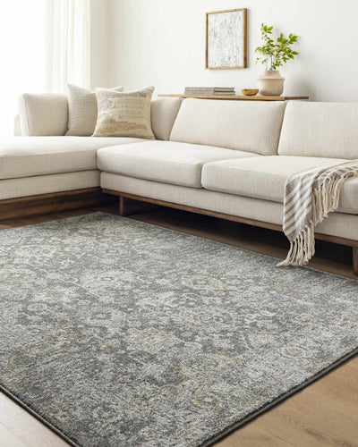 Strom Area Rug