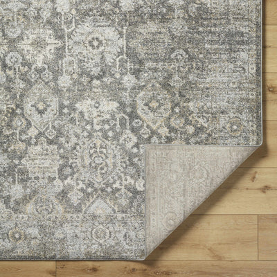 Strom Area Rug