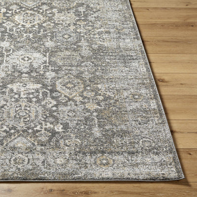 Strom Area Rug