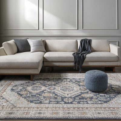 Kouta Beige & Navy Area Rug