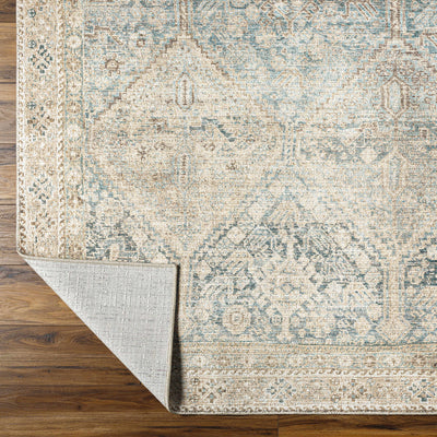 Marlene Medallion Beige & Blue Area Rug - Becki Owens x Livabliss