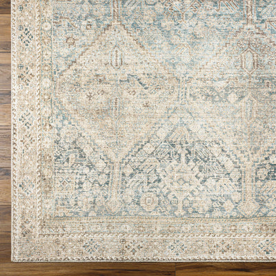 Marlene Medallion Beige & Blue Area Rug - Becki Owens x Livabliss